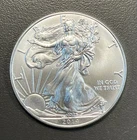 2014 American Eagle Silver Dollar / 1 oz .999 Silver / Uncirculated