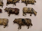 Antique 1910-1920s J Hill & Co., England, Die Cast, Lead, Cows/Cattle, Lot 11... — photo 2