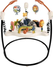 Fisher-Price Baby Bouncer Palm Paradise Jumperoo Activity Center with Music Ligh