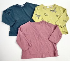 ZARA Boy Long Sleeved Lot 3 Kangaroo Pocket Dinosaur Tops Shirts 18-24 18 24 M