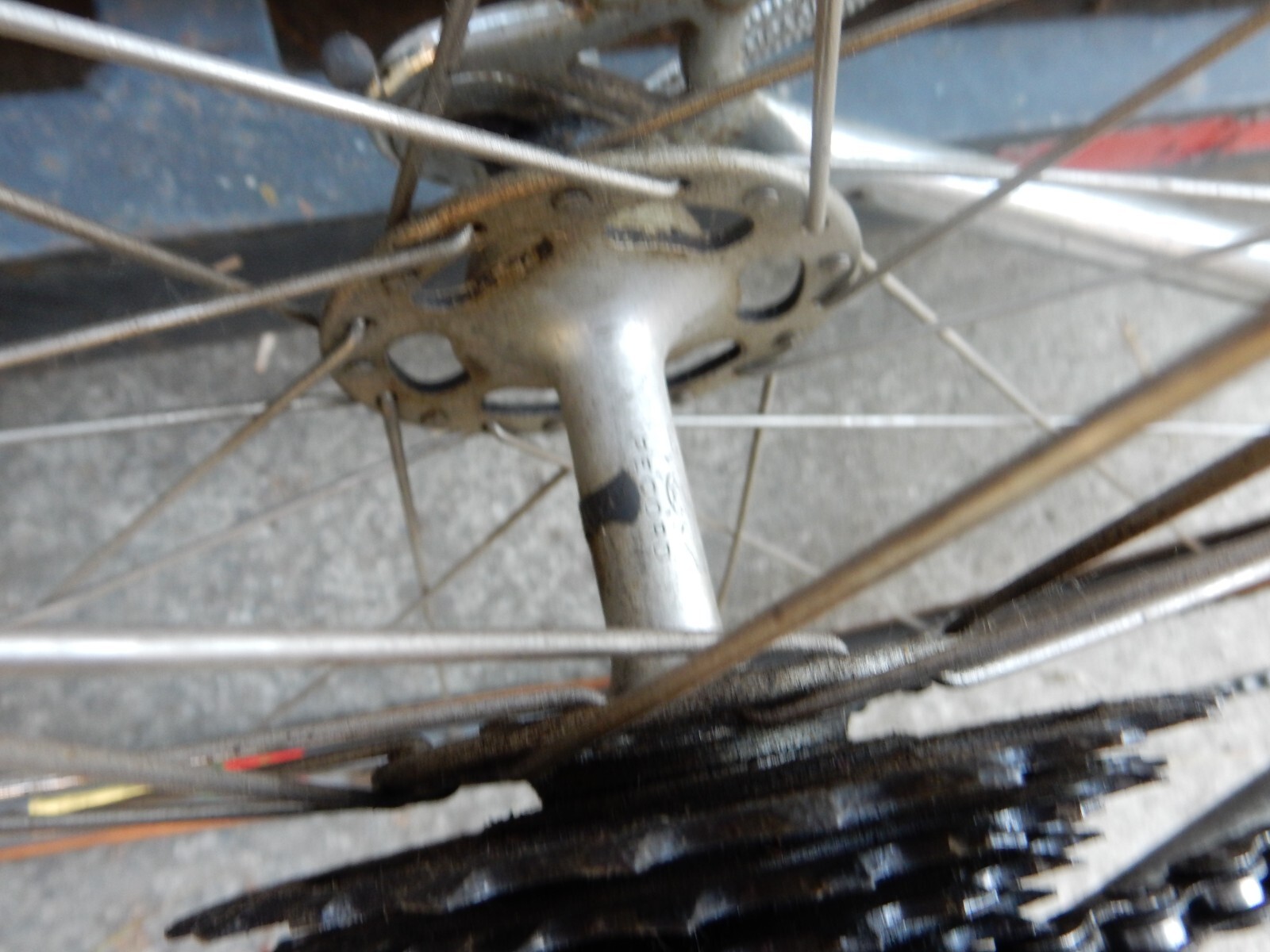 schwinn paramount ebay