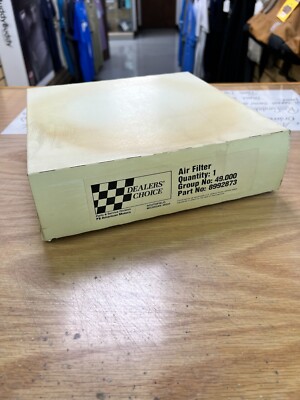 NOS AMC Air Filter 8992873