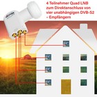 Afbeelding 3 van 11