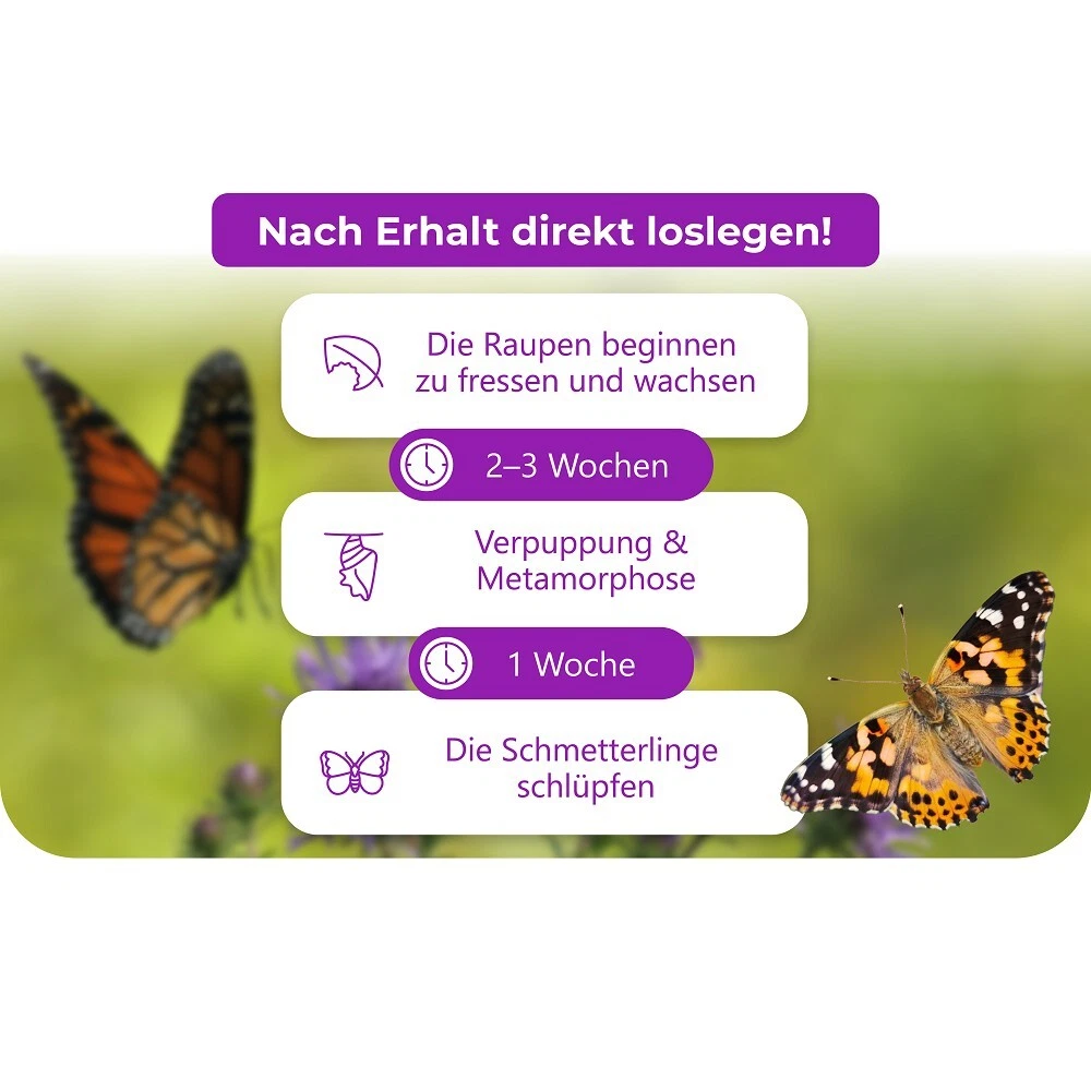 Bild 12 von 16
