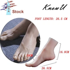 Realistic Silicone Male Foot Model 26.5cm EUR 44 Display Shoe Fitting, Anatomy