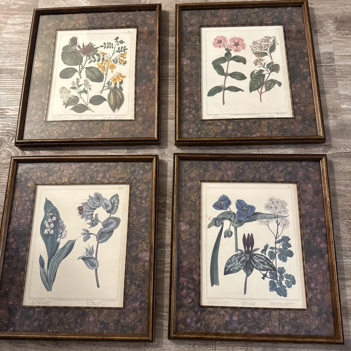 bombay frame products for sale | eBay