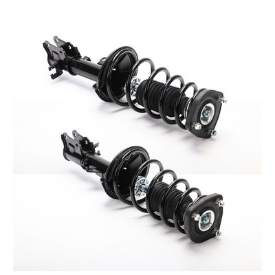 Fully Loaded Strut Set of 2 Rear Driver & Passenger Side Left Right for Kia Pair