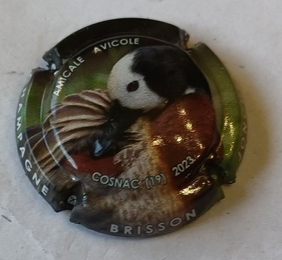 BEAUTIFUL CHAMPAGNE CAPSULE BRISSON JONCHERE COSNAC 2023 REF N°58d NEWS