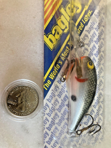 NEW VINTAGE Bagley’s DIVING SHAD CRANKBAIT BAGLEY FISHING LURE NOC SCALE BACK SI - 第 1/5 張圖片