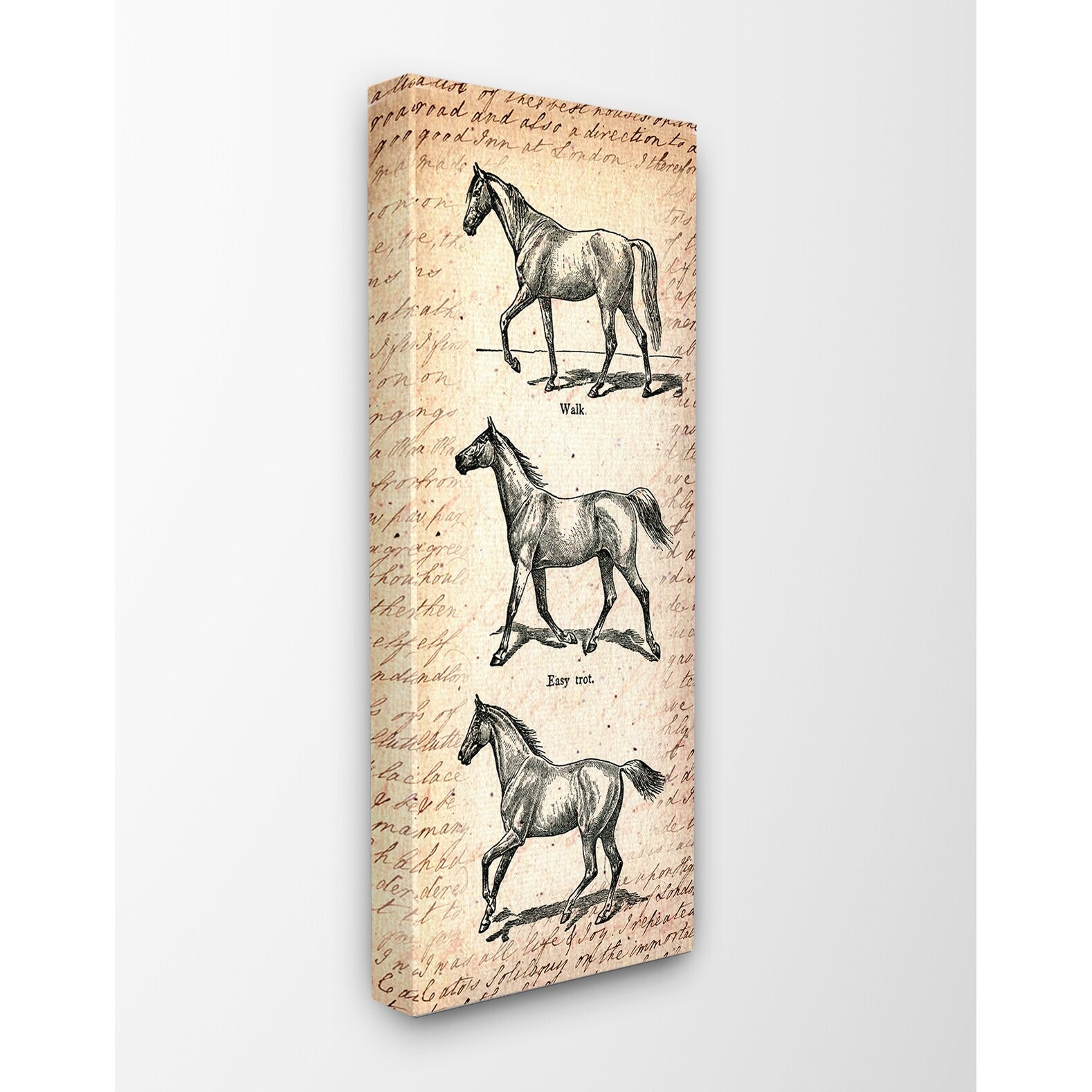 Stupell Vintage Horse Movement Diagram Stretched Canvas Wall