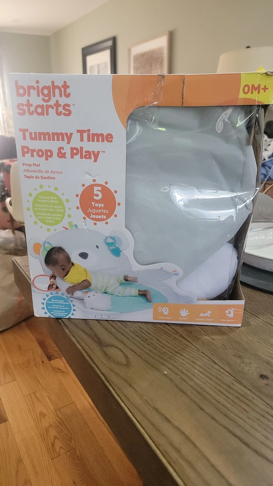 Infant Play Mat