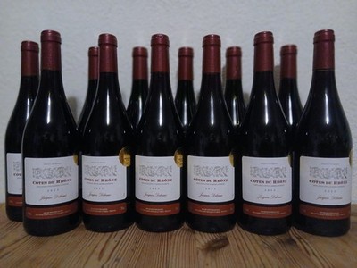 (7,33 /1L.) 12 Fl. Côtes Du Rhone Jaques Delorme Goldmedaille Rotwein Frankreich
