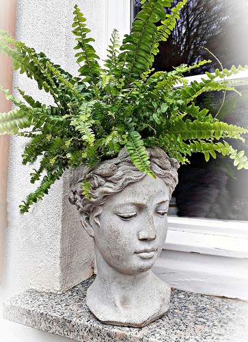 ❀ Pflanztopf Frauenkopf Antike Übertopf Büste 27cm Venus Kopf Vintage Frau #GW - Bild 3 von 7