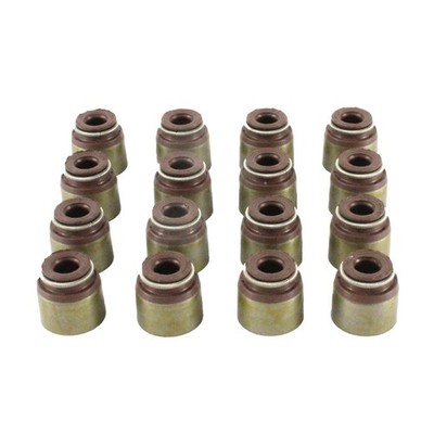 DNJ VSS635 Valve Stem Oil Seal Set fits 2007-2022 Nissan Sentra