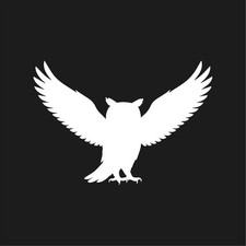 Owl Open Wings Wildlife Bird Vinyl Decal Window Wild birds life Laptop Sticker