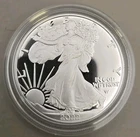 2022-W American Silver Eagle