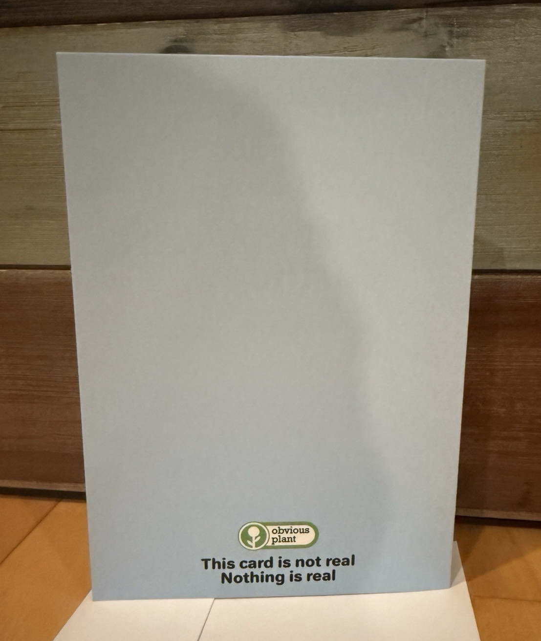 New Obvious Plant Birthday Card to Skim and Throw in the Trash Meme Art Toy /500