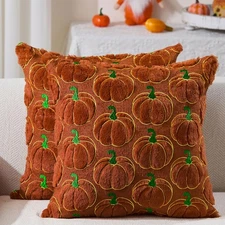 DFXSZ Fall Pillow Covers 18x18 Set of 2 18 x 18 (Pack 2), Rust Color 