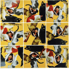 Scramble Squares Cat 9 Piece Challenging Puzzle - Ultimate Brain Teaser and Mind