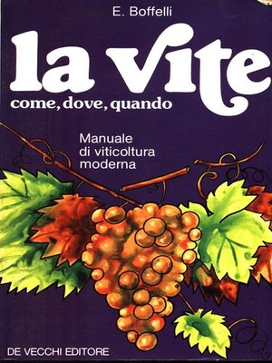 DIE SCHRAUBE WIE, WO, WENN MANUALISTIK BOFFELLI, E. DE VECCHI 1977
