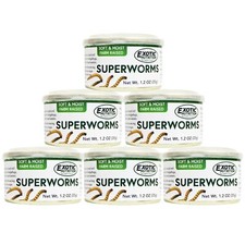 Canned Superworms 6 Pack - Hedgehogs, Sugar Gliders, Chickens, Reptiles