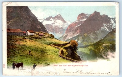 Tödi von der Baumgartneralp aus SWITZERLAND UDB Postcard
