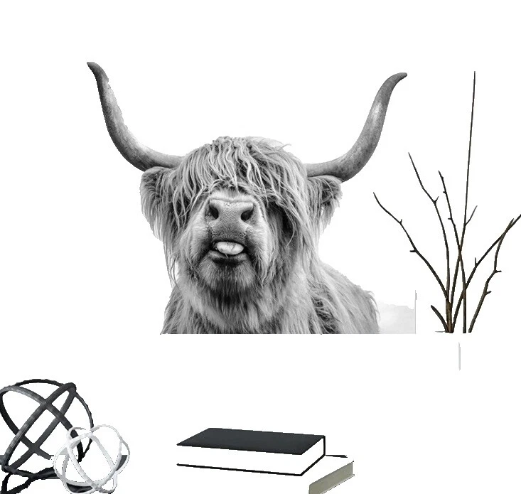 Decoración blanca para el hogar