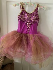 Revolution Dancewear Wild Berry Costume Size LC