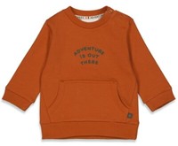 Schlichter, Weicher Sweater Mit Taschen In Braun / Rost Von Feetje Adventure