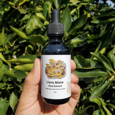 lions mane tincture 2oz  Lion s Mane mushrooms (Hericium erinaceus)