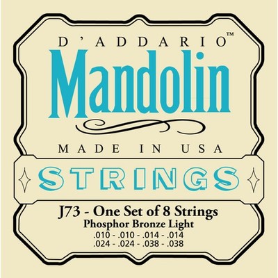 D'Addario EJ73 10-38 Mandolinen Saiten Phosphor Bronze Loop End - Saiten