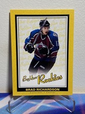 2005-06 Upper Deck BEE HIVE Hockey BRAD RICHARDSON #94 ROOKIE