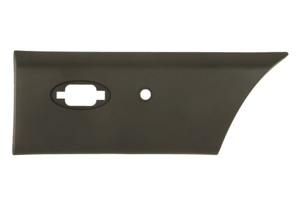 Left Front BLIC 5703-06-6089573DP Trim/Protection Strip, quarter panel for RENAU