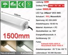 Bild 118 von 199
