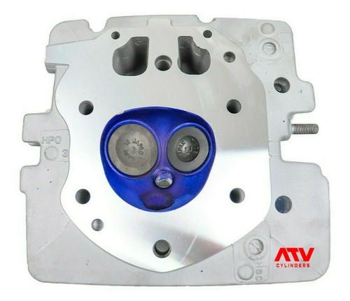 Genuine 05-2011 Honda Foreman 500 TRX500 Cylinder Head Valves Engine Motor Kit
