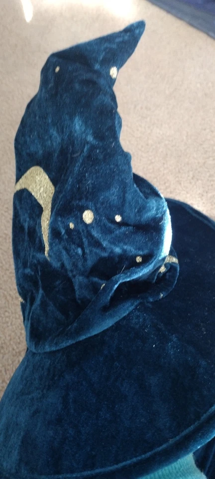 Девочек SPELLBOUND волшебник/ведьма костюм платье и шляпа небесный синий зеленый - Изображение 3 из 4