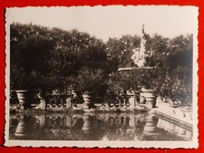 Photo Firenze Jardin De Boboli Vasque Isolotto 1930 -40 C. ( F 27 )