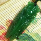 Bild 6 von 6