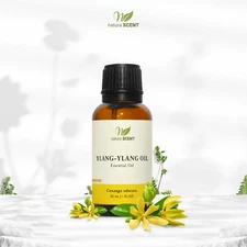 NATURA SCENT Ylang-Ylang Essential Oil 10ml / 30ml Natural Floral Aroma
