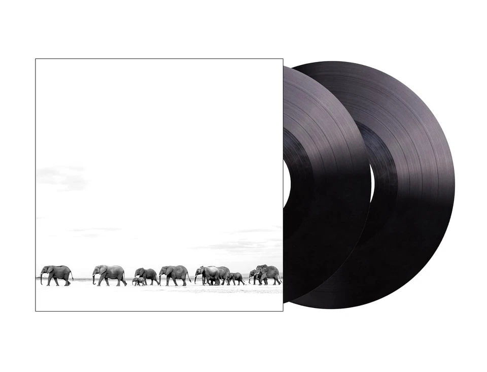 Dave Matthews Band Where Are You Going: The Singles (Vinyl) Foto 2 de 2