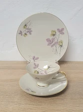 Winterling Bavaria place setting tea coffee set 3 pieces porcelain collector cup