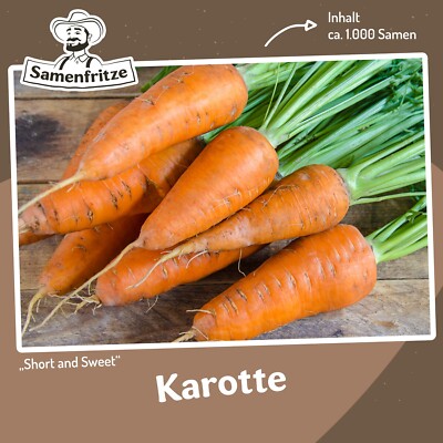 Karotte Short and Sweet ca. 1000 Samen - kurze und süße Möhren