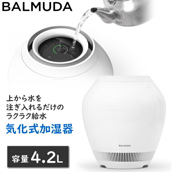 Balmuda Rain Humidifier ERN-1100SD-WK Evaporative Type Not