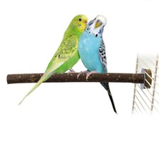 Sitzstange für Vögel Voliere, Käfig Zubehör Haselnusssitzstange anschraubbar