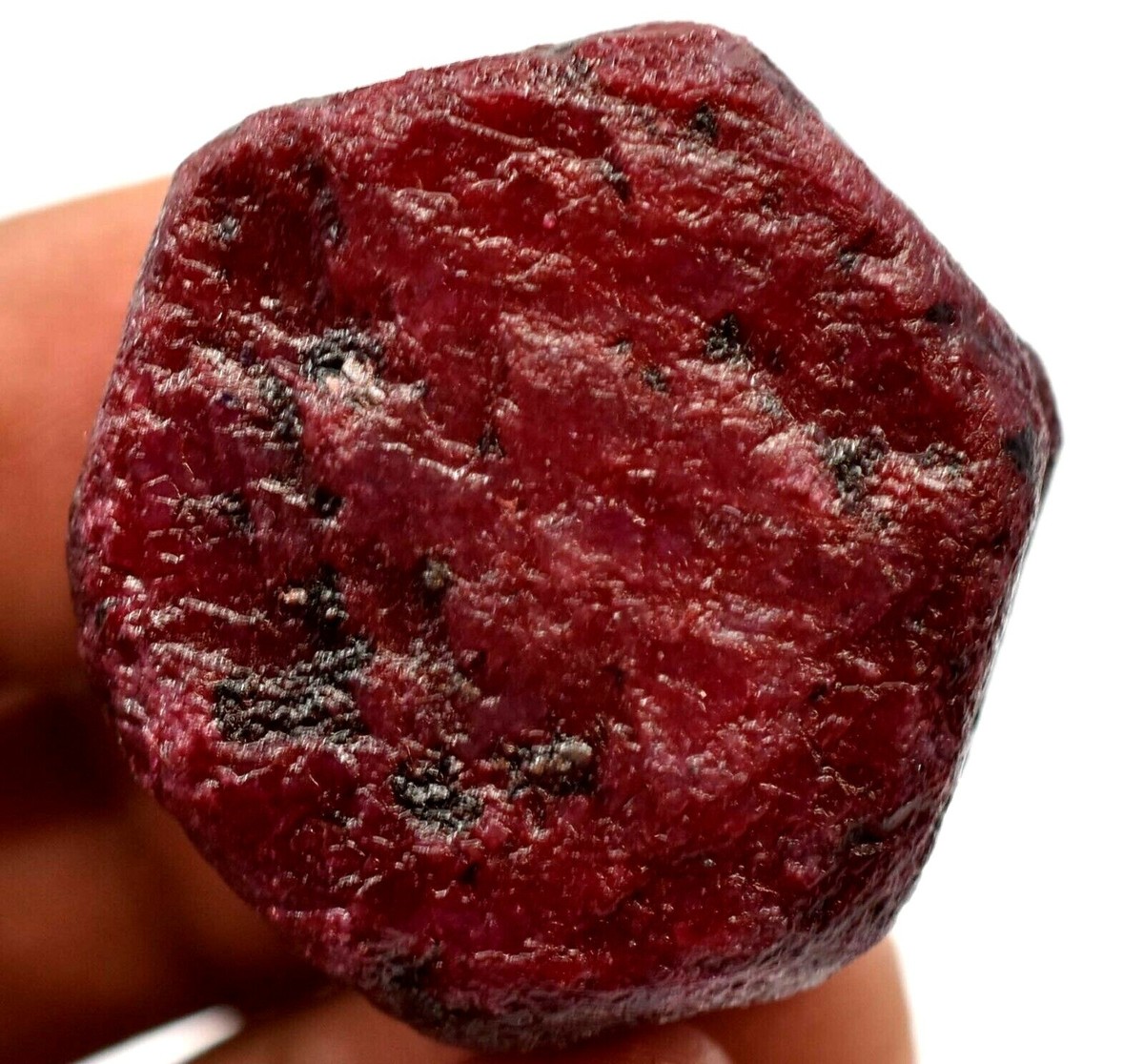Natural Mozambique Red Ruby 246.5 CT FACET AGSL Certified Rough