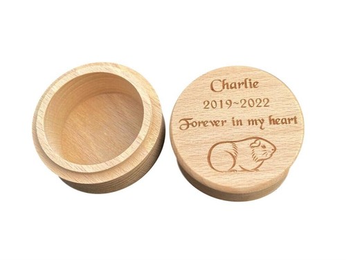 Pet Memorial Box Fur Hair Ashes Keepsake Urn Personalised Engraved Guinea Pig - Picture 2 of 8