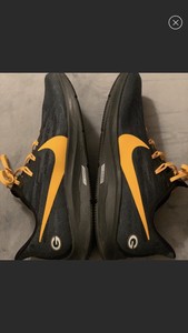 nike air zoom pegasus 36 green bay packers