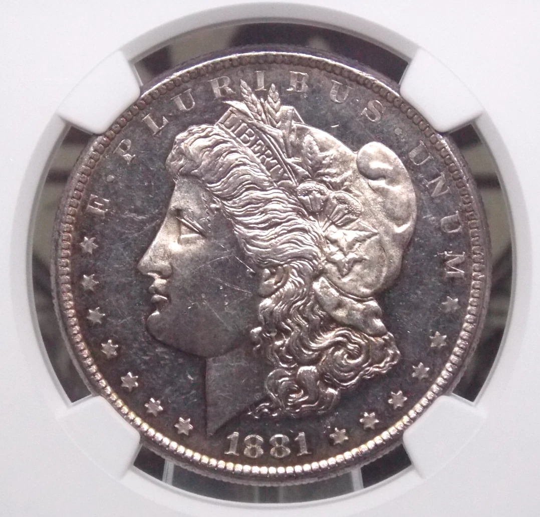 MS 63 Graded 1881 Year Morgan US Dollars (1878-1921) for sale | eBay