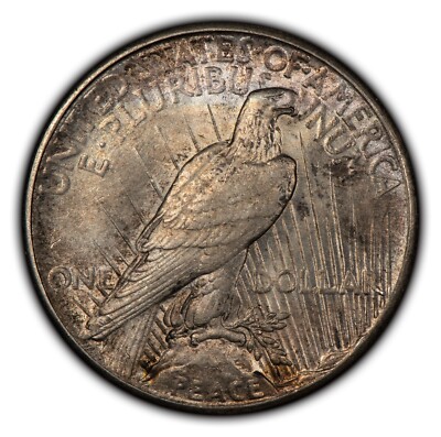 1926 $1 Silver Peace Dollar - Luster - Pattern Toning - AU/UNC - VIDEO - D4171