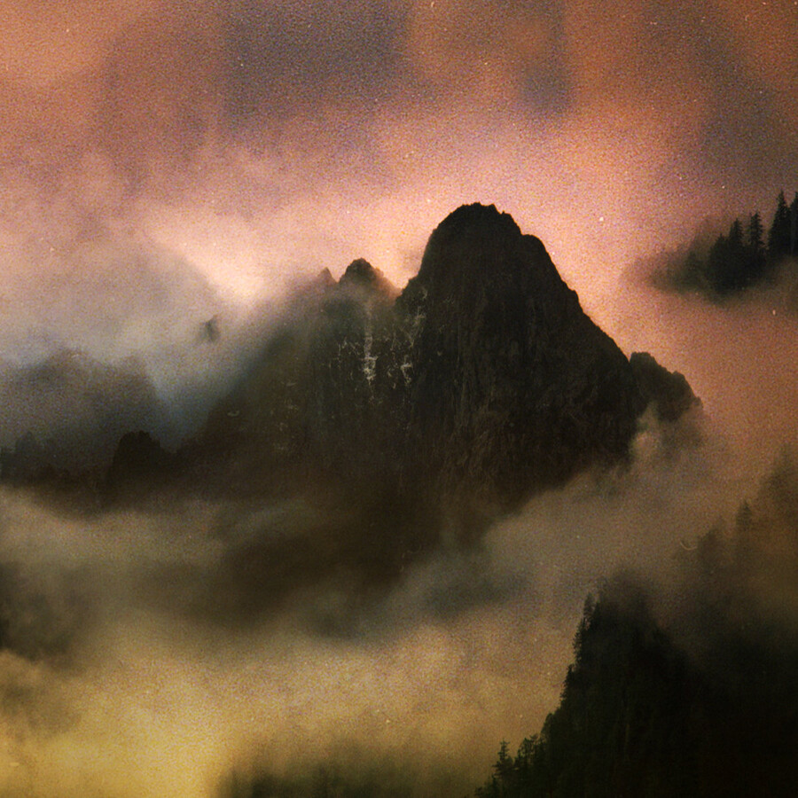 Dead to a Dying World Elegy (Vinyl LP) 12" Album